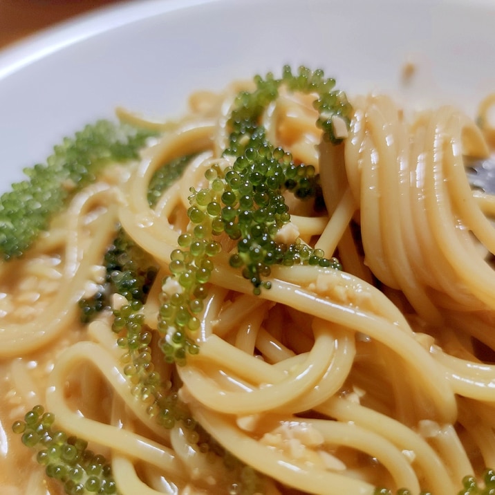 沖縄 卵納豆スパwihtうみぶどう【パスタ100】